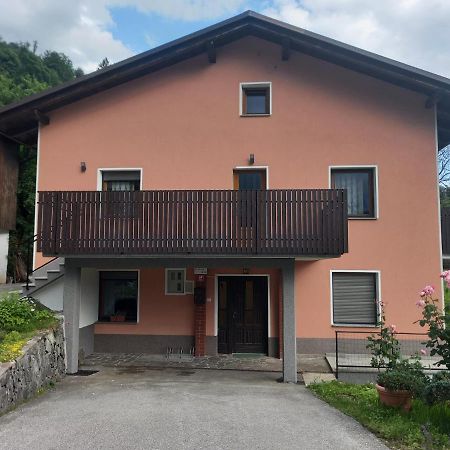 Apartmaji Ursic Kobarid Kültér fotó